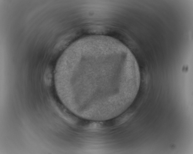 X0000113960080200910232038