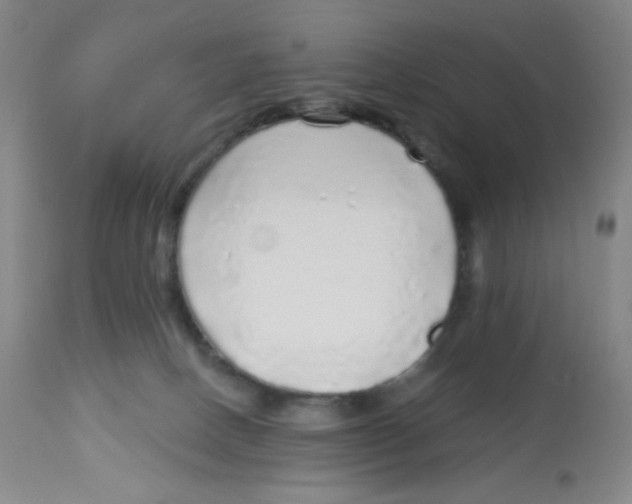 X0000113960082200910232038