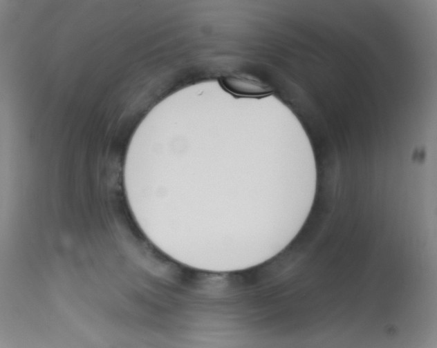 X0000113960083200910232038