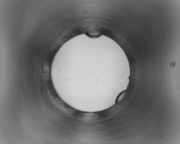 X0000113960087200910232038