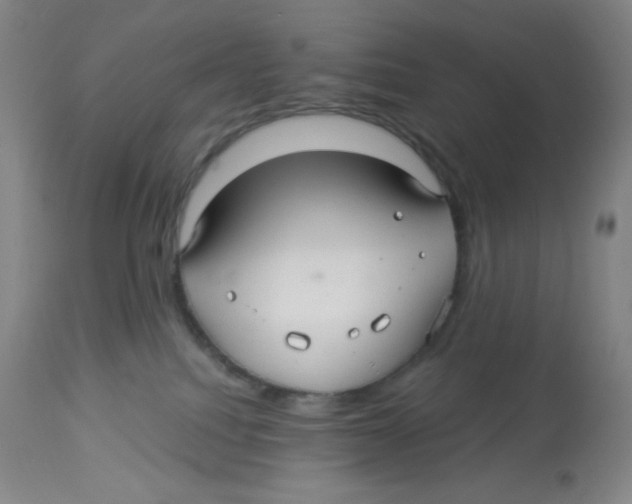 X0000113960088200910232038