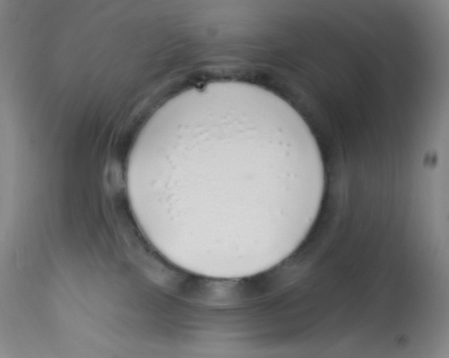 X0000113960089200910232038
