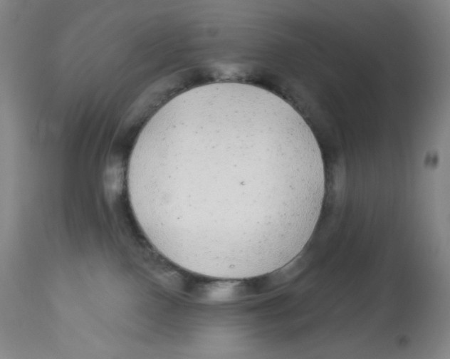X0000113960090200910232038