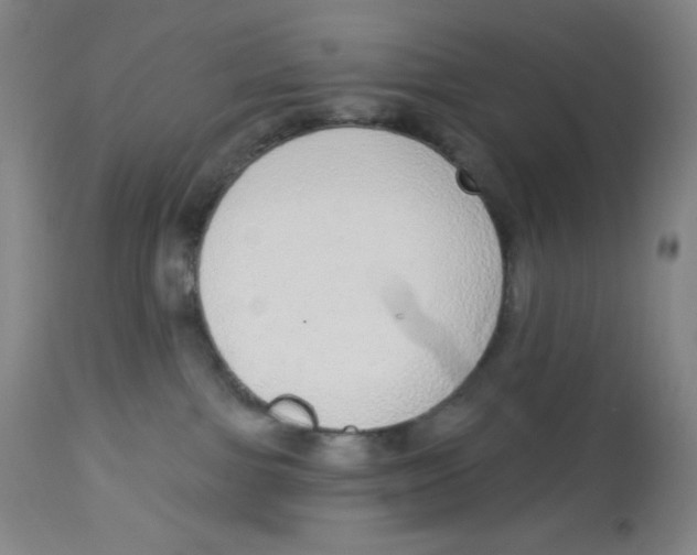 X0000113960091200910232038