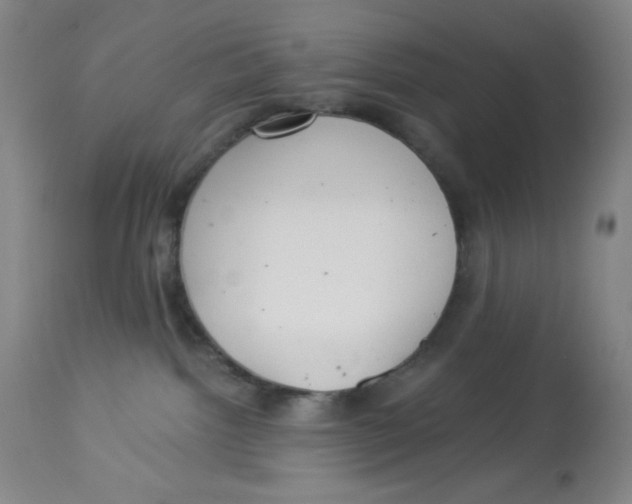 X0000113960092200910232038