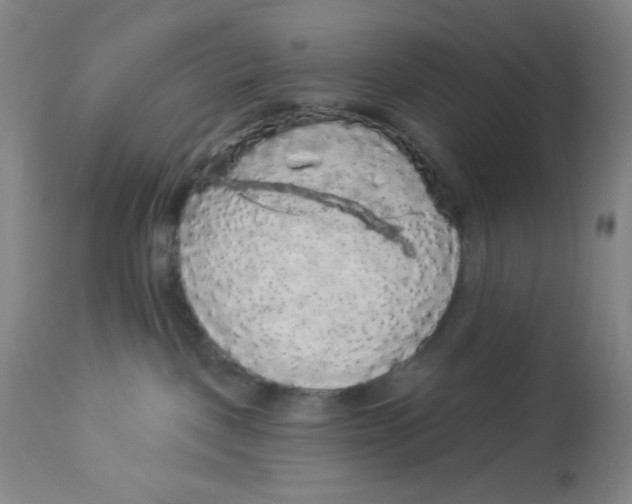 X0000113960093200910232038