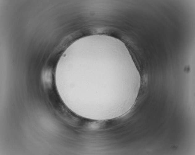 X0000113960094200910232038