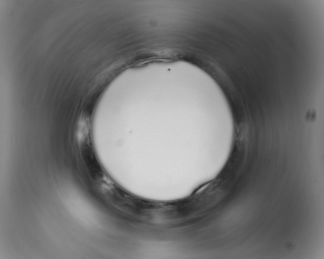 X0000113960095200910232038