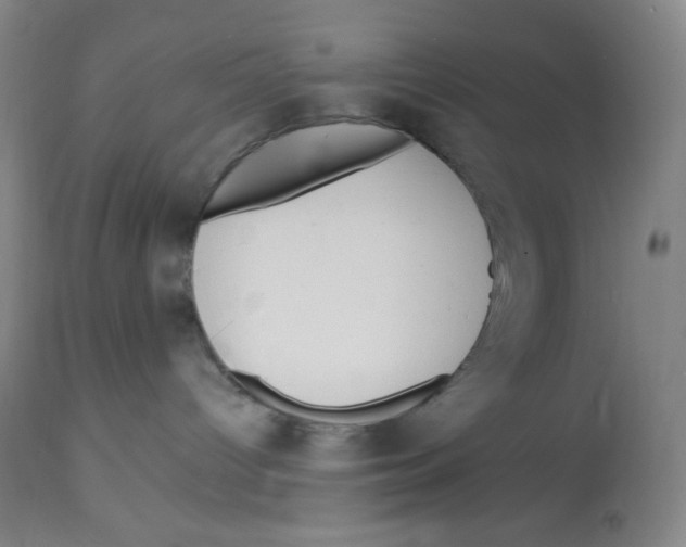 X0000113960096200910232038