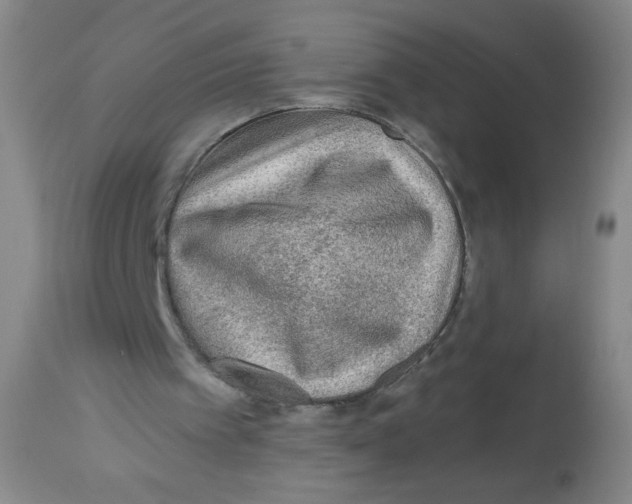 X0000113960097200910232038