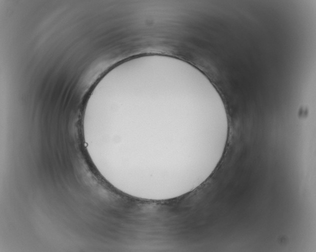 X0000113960098200910232038
