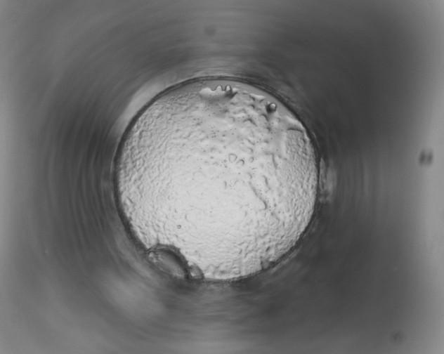 X0000113960099200910232038