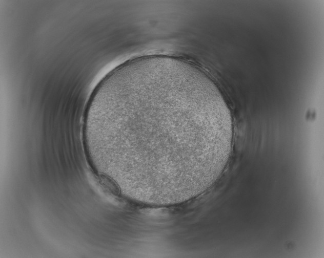 X0000113960100200910232038