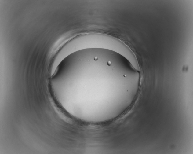 X0000113960101200910232038