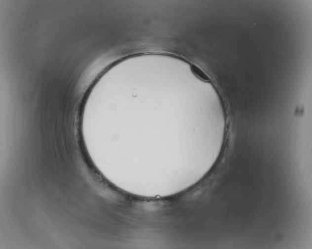 X0000113960103200910232038