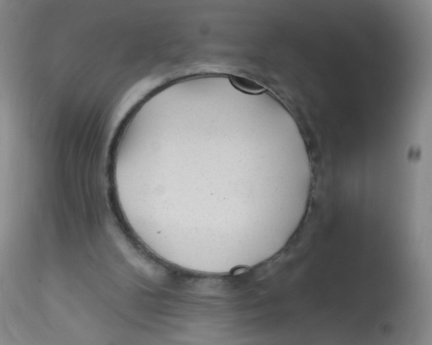 X0000113960104200910232038