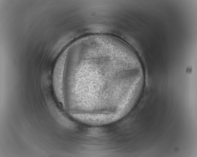 X0000113960105200910232038