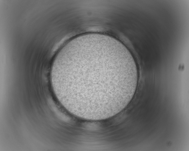 X0000113960106200910232038