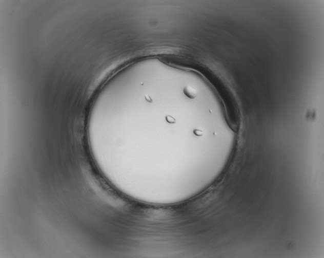 X0000113960107200910232038