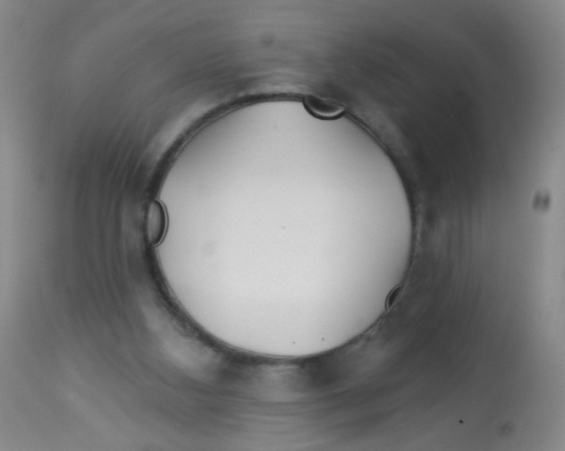 X0000113960108200910232037