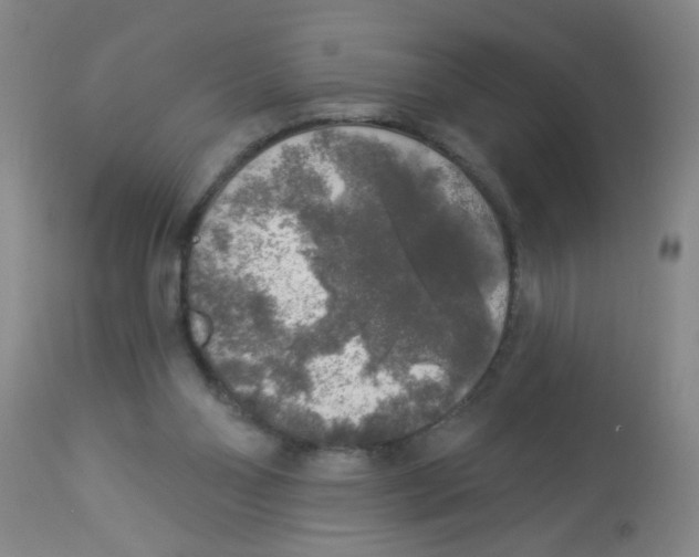 X0000113960110200910232037