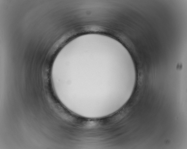X0000113960111200910232037