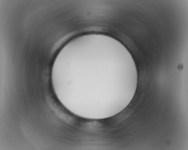 X0000113960112200910232037
