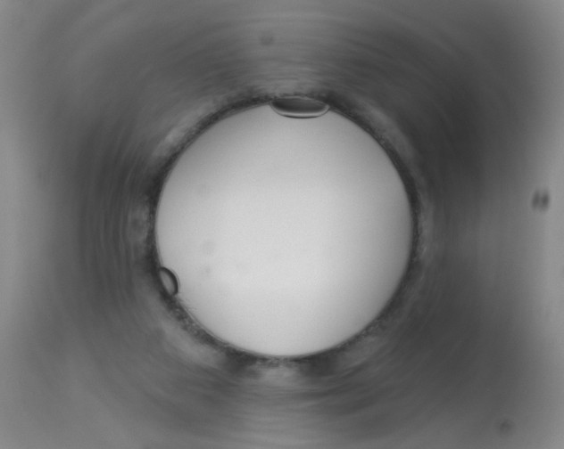 X0000113960113200910232037