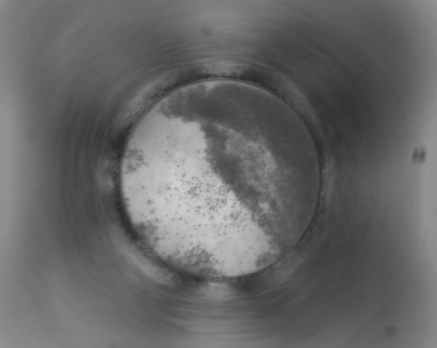 X0000113960114200910232037