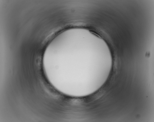 X0000113960115200910232037