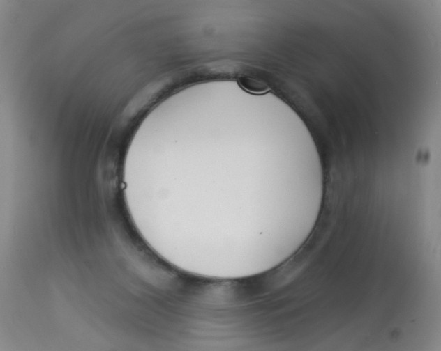 X0000113960116200910232037
