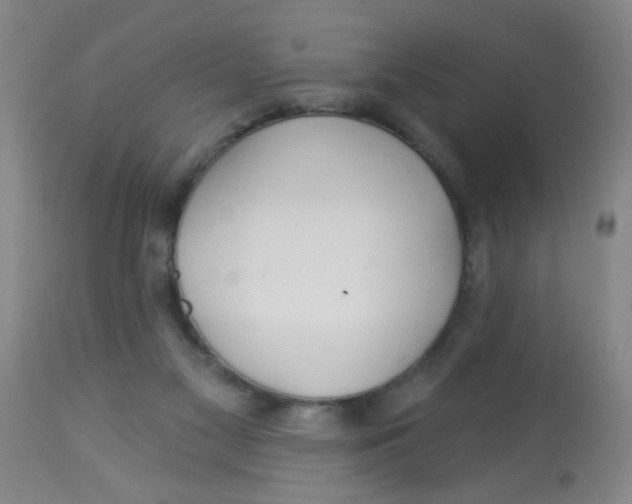 X0000113960117200910232037