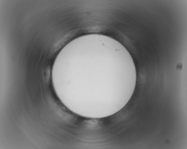 X0000113960118200910232037