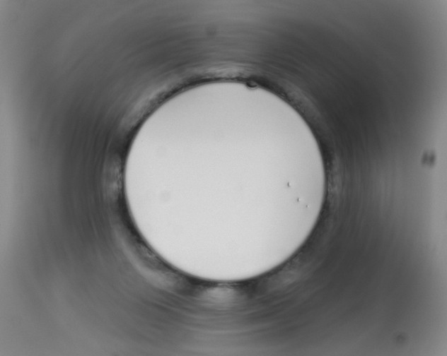 X0000113960119200910232037