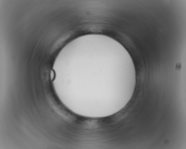 X0000113960120200910232037