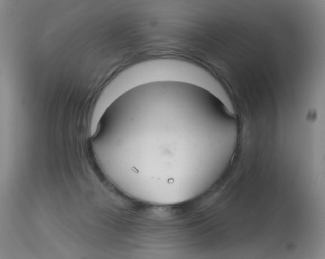 X0000113960121200910232037