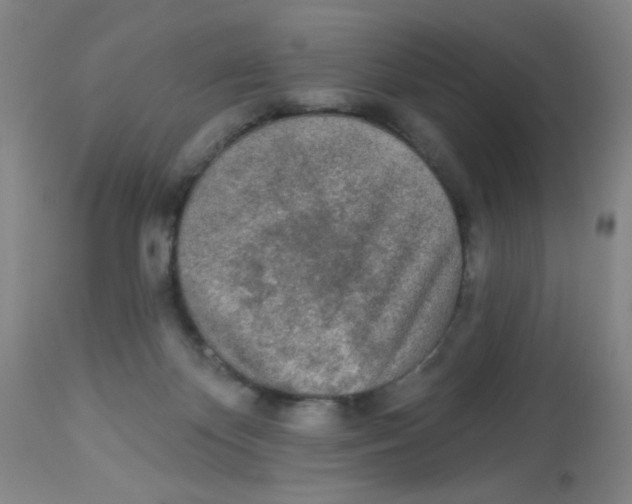 X0000113960124200910232037