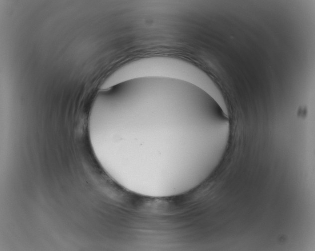 X0000113960125200910232037
