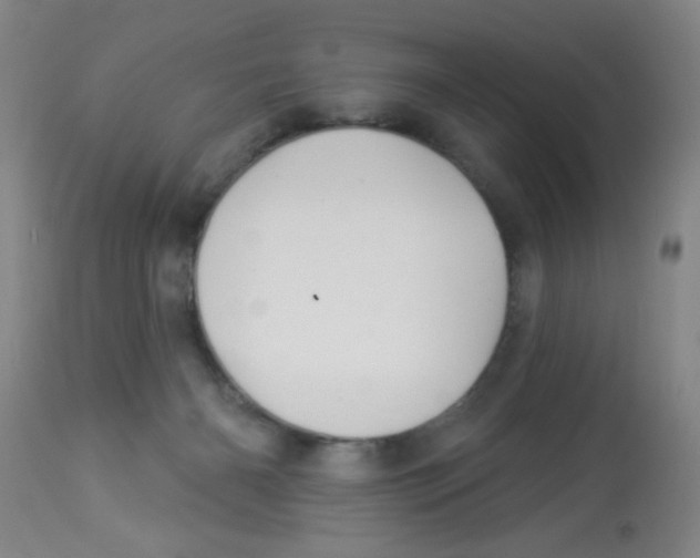 X0000113960126200910232037