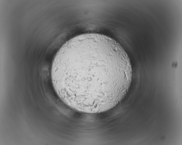 X0000113960127200910232037