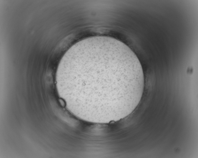 X0000113960128200910232037