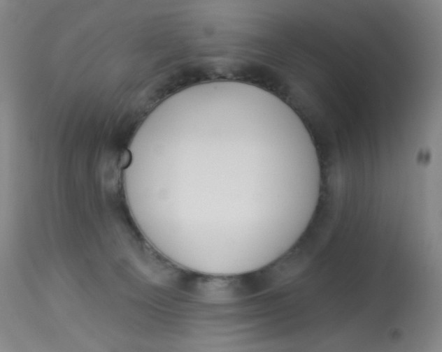 X0000113960129200910232037