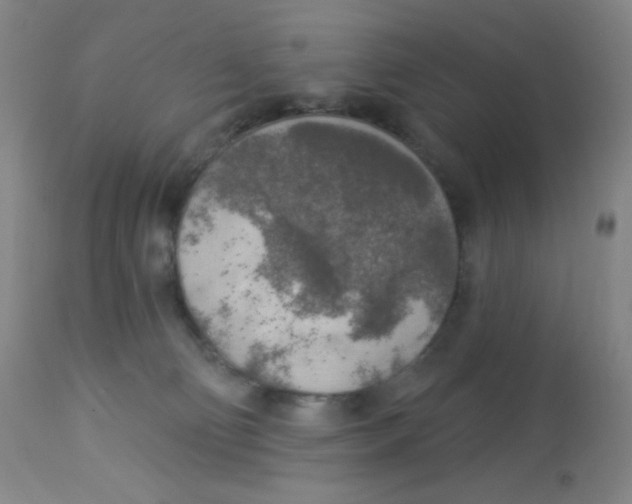 X0000113960130200910232037