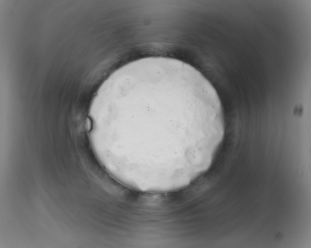 X0000113960131200910232037