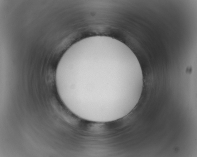 X0000113960132200910232037