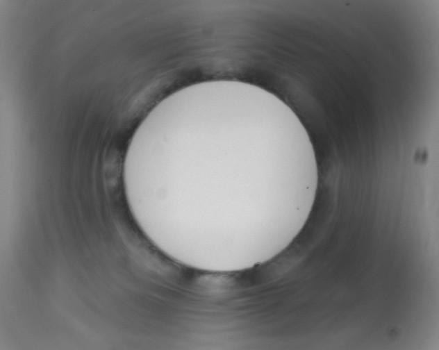 X0000113960133200910232037