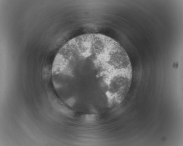 X0000113960134200910232037