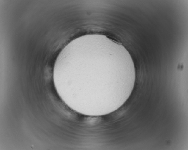 X0000113960135200910232037