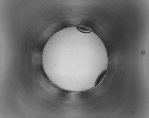 X0000113960136200910232037