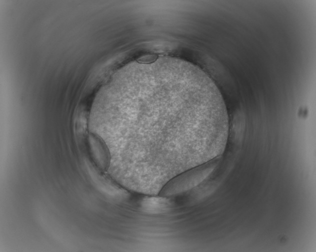 X0000113960137200910232037